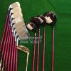 gay-golf-honma-e06-3-sao-lady-1.jpg